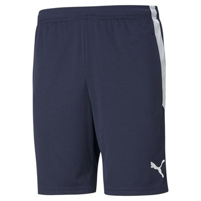TeamLIGA Training Shorts