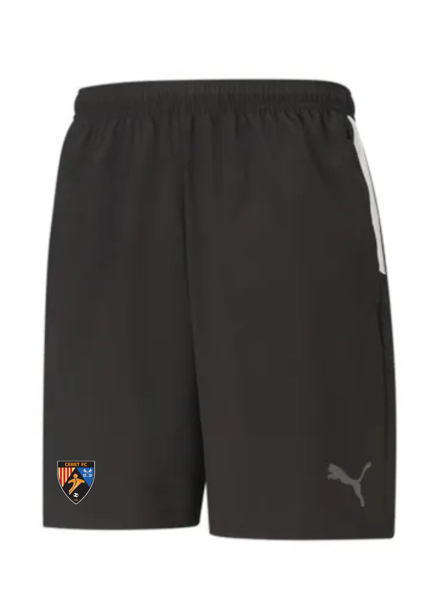teamLIGA Sideline Shorts