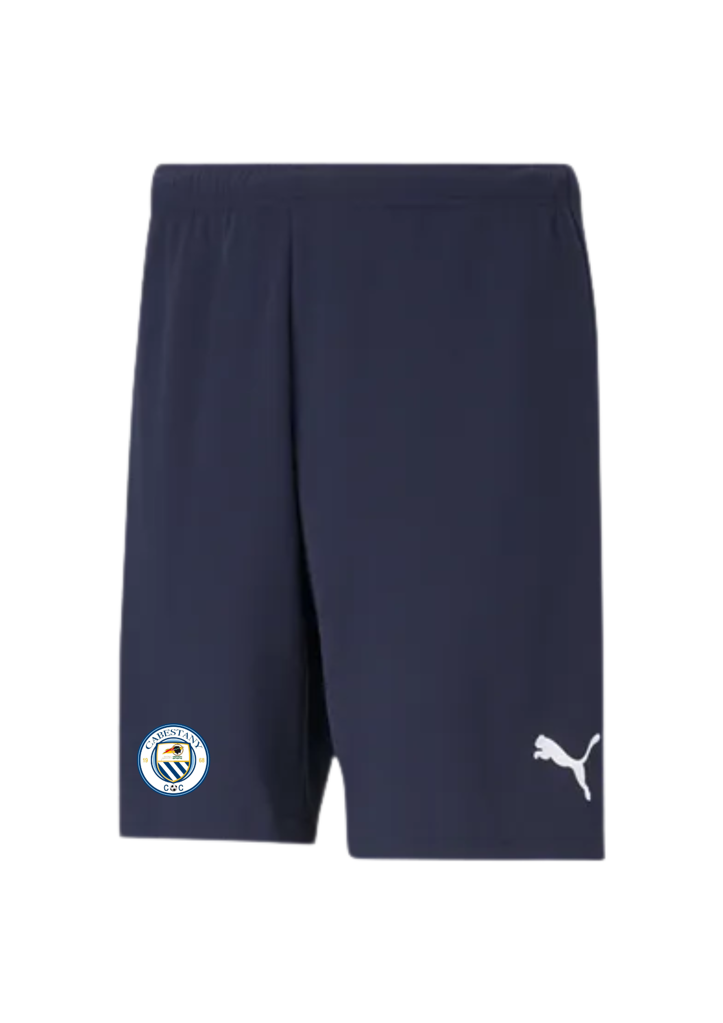 teamRiISE SHORT