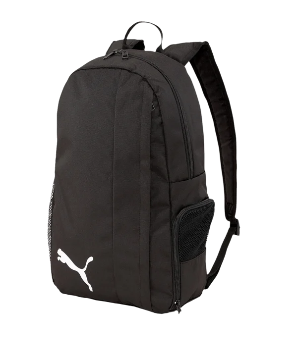 PUMA teamGOAL 23 noir