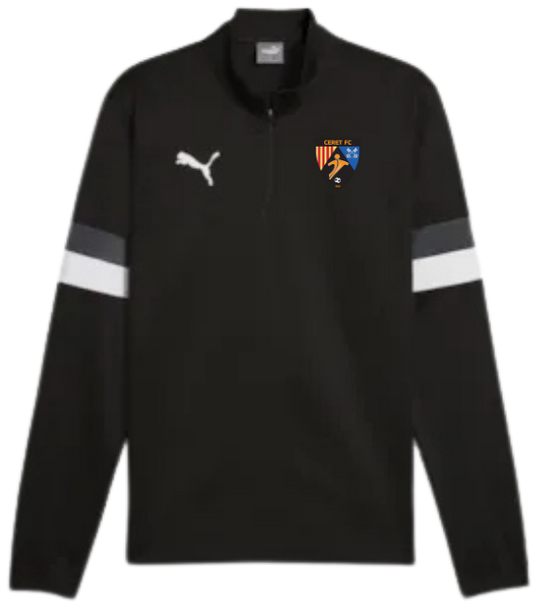 teamRISE 1/4 Zip Top