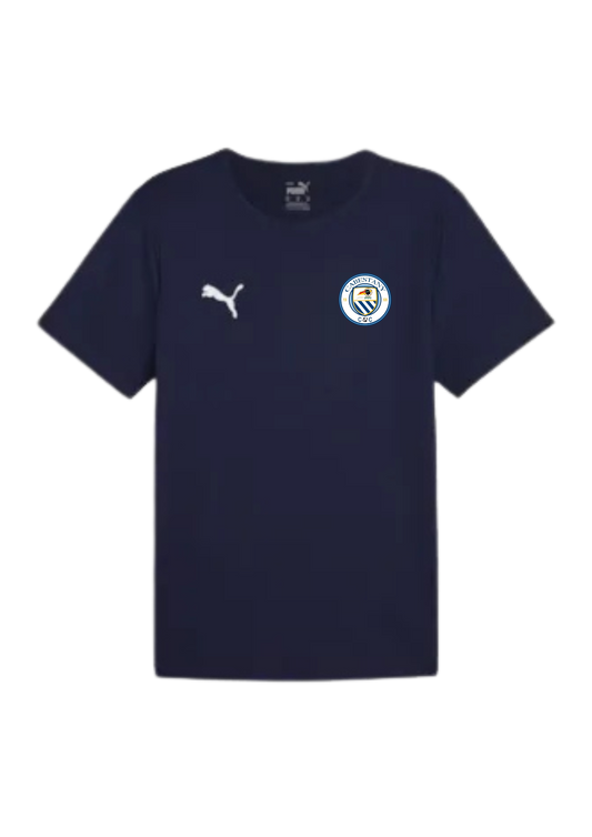 teamRISE MAILLOT DE MATCH