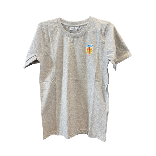T-shirt gris 2024