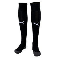 Team LIGA Socks CORE