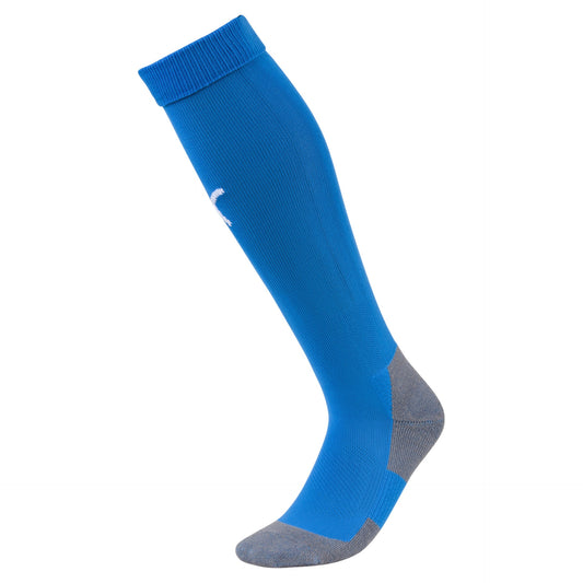 Team LIGA Socks CORE bleu/blanc